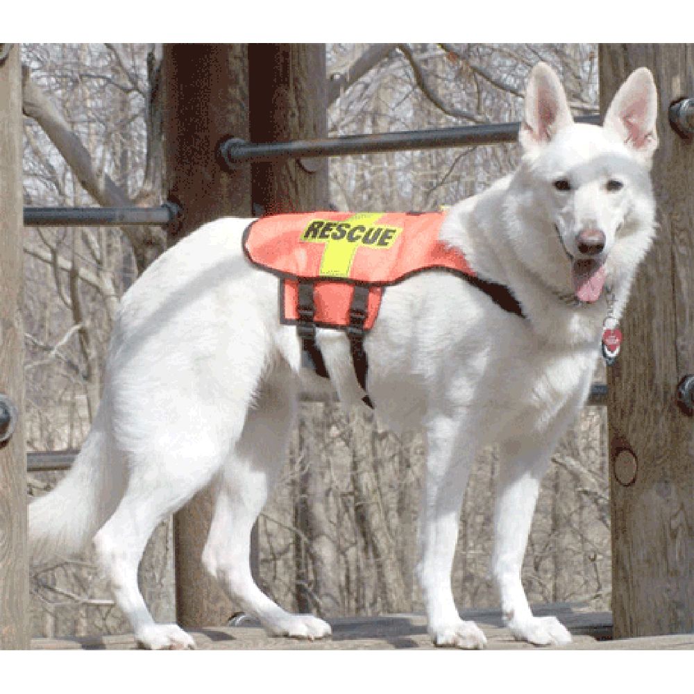 Standard K-9 Vest (Mesh)