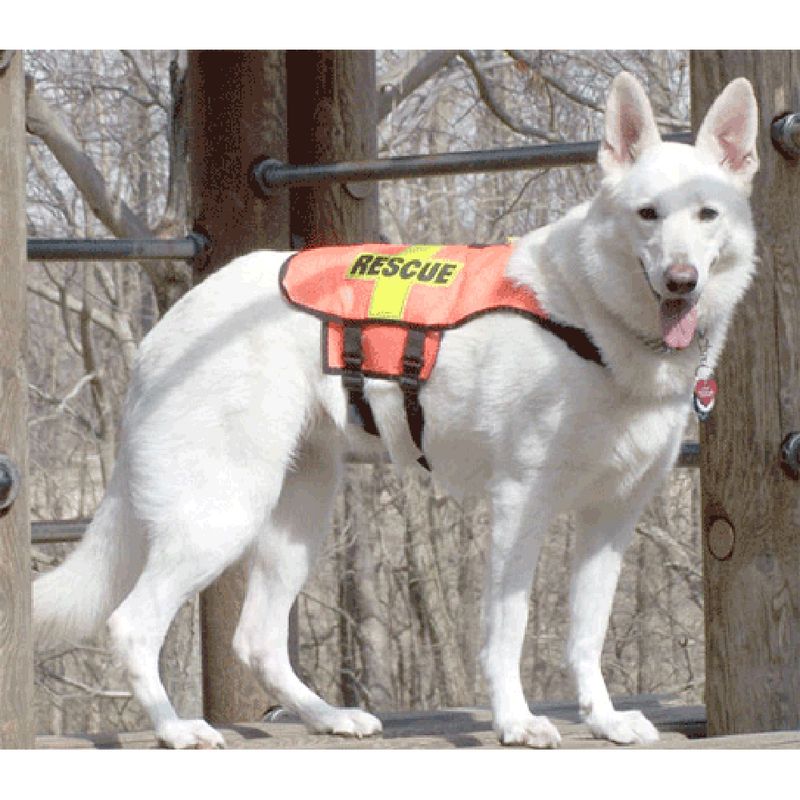 Standard K-9 Vest (Mesh)