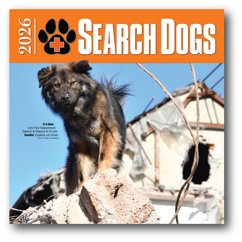 2026 SEARCH DOGS Wall Calendar