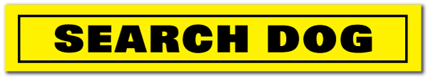 Size: 5-3/8" x 7/8"