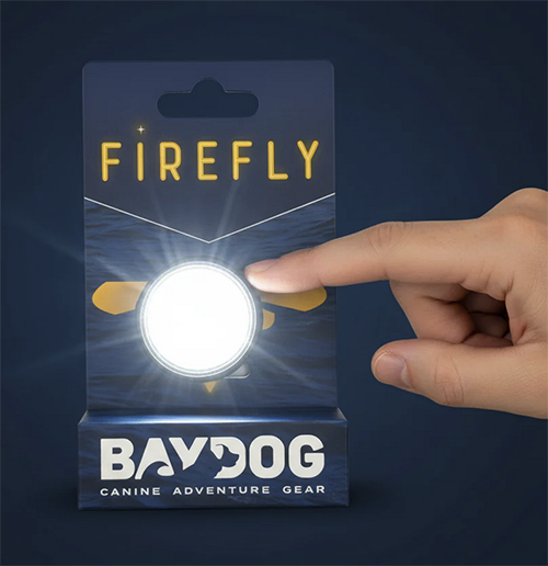Firefly LED Safety Light - Multi-color &amp; Rechargeable