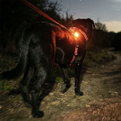 Firefly LED Safety Light - Multi-color &amp; Rechargeable