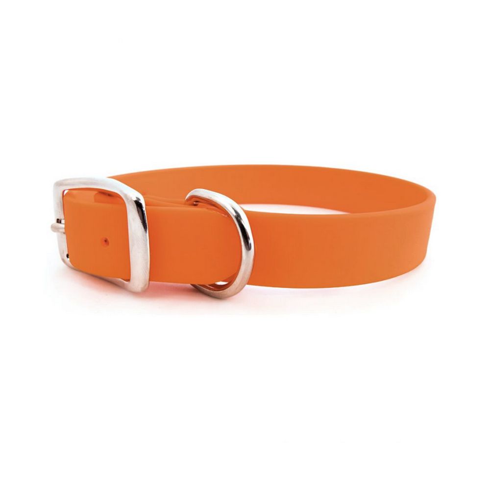BioThane® Buckle Dog Collar (Waterproof)