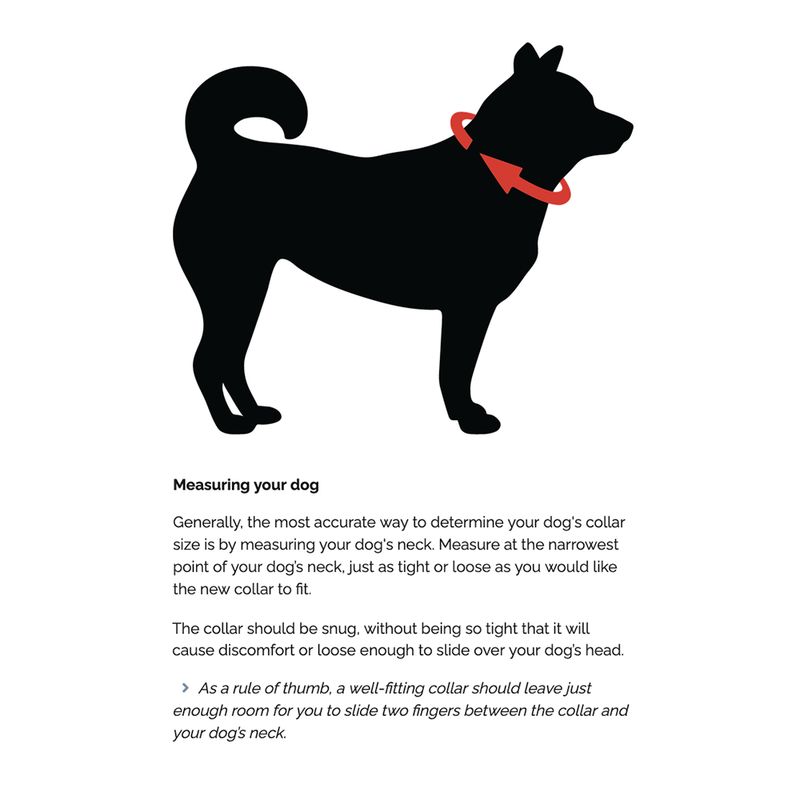 BioThane® Buckle Dog Collar (Waterproof)