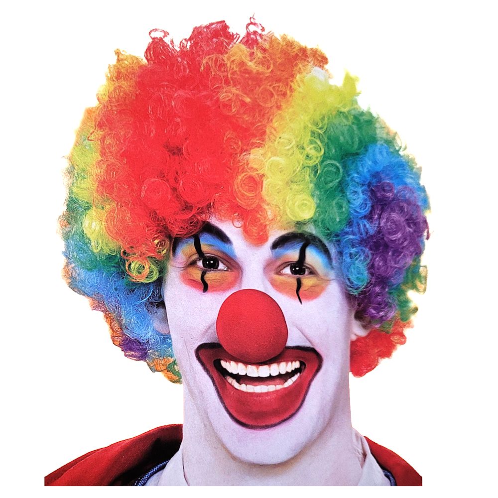 Rainbow Clown Wig