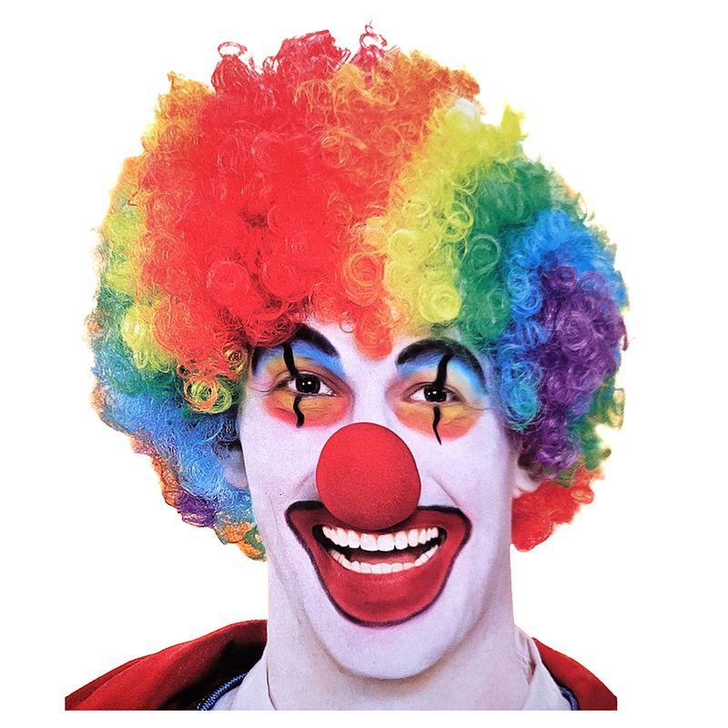 Rainbow Clown Wig