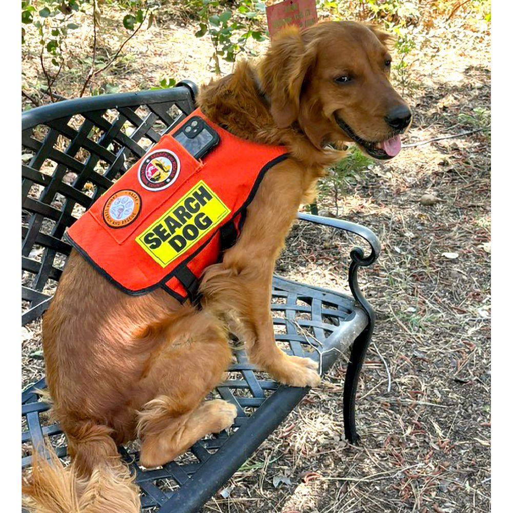 Standard K-9 Vest with Phone Zipper Pouch