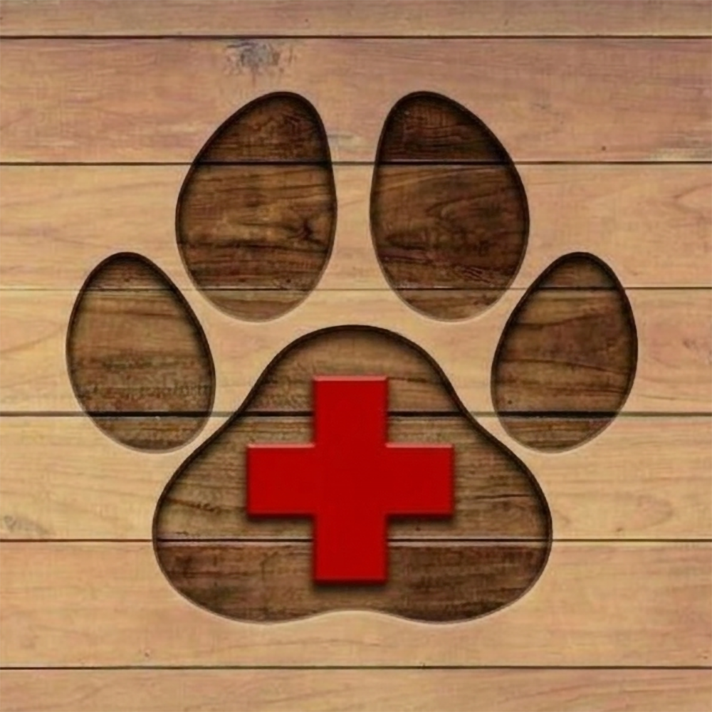 FREE K-9 Handler SAR-Prize (Orders over $75+)