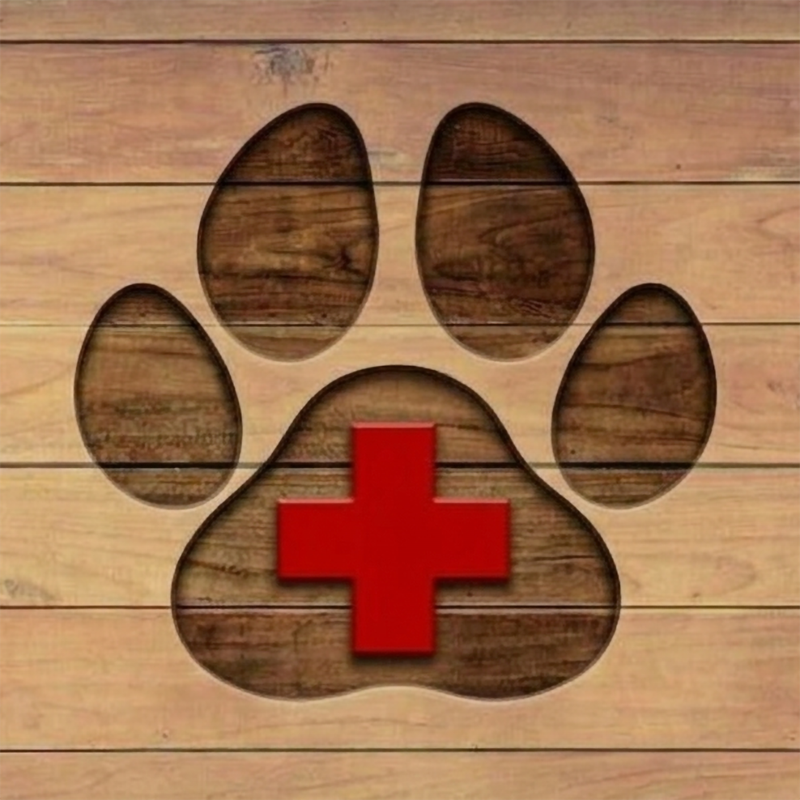 FREE K-9 Handler SAR-Prize (Orders over $75+)