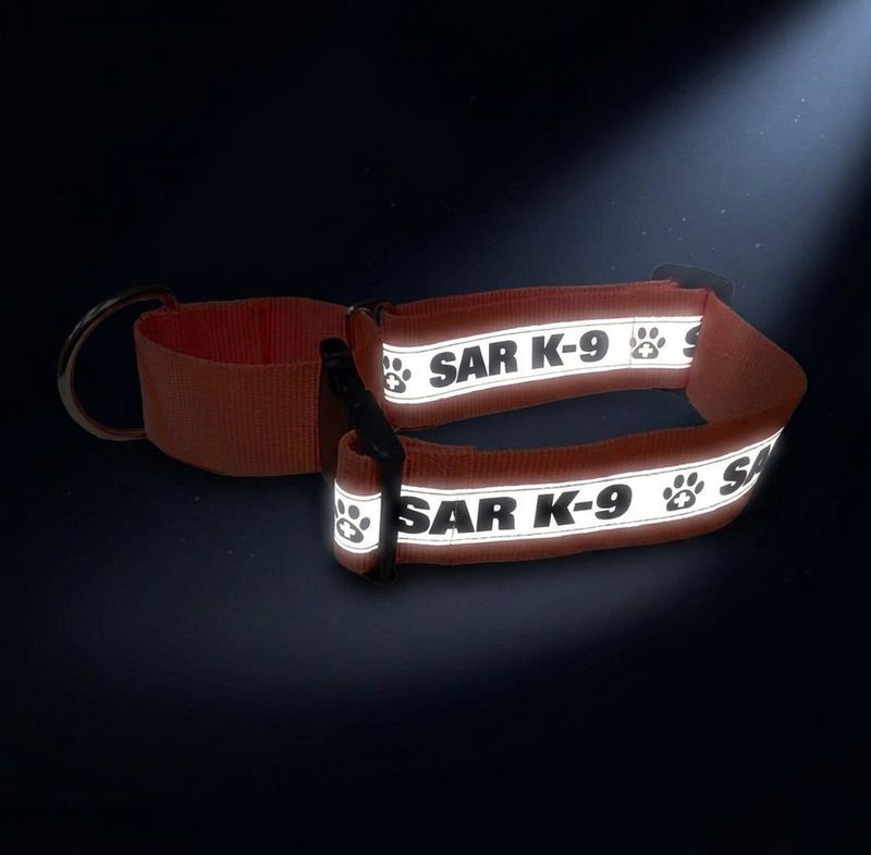 Reflective Martingale Dog Collar (Plastic Buckle): SAR K-9 - 2" Width