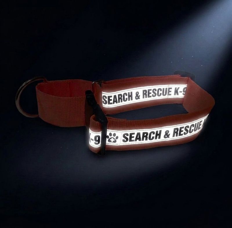 Reflective Martingale Dog Collar (Plastic Buckle): SEARCH &amp; RESCUE K-9 - 2" Width