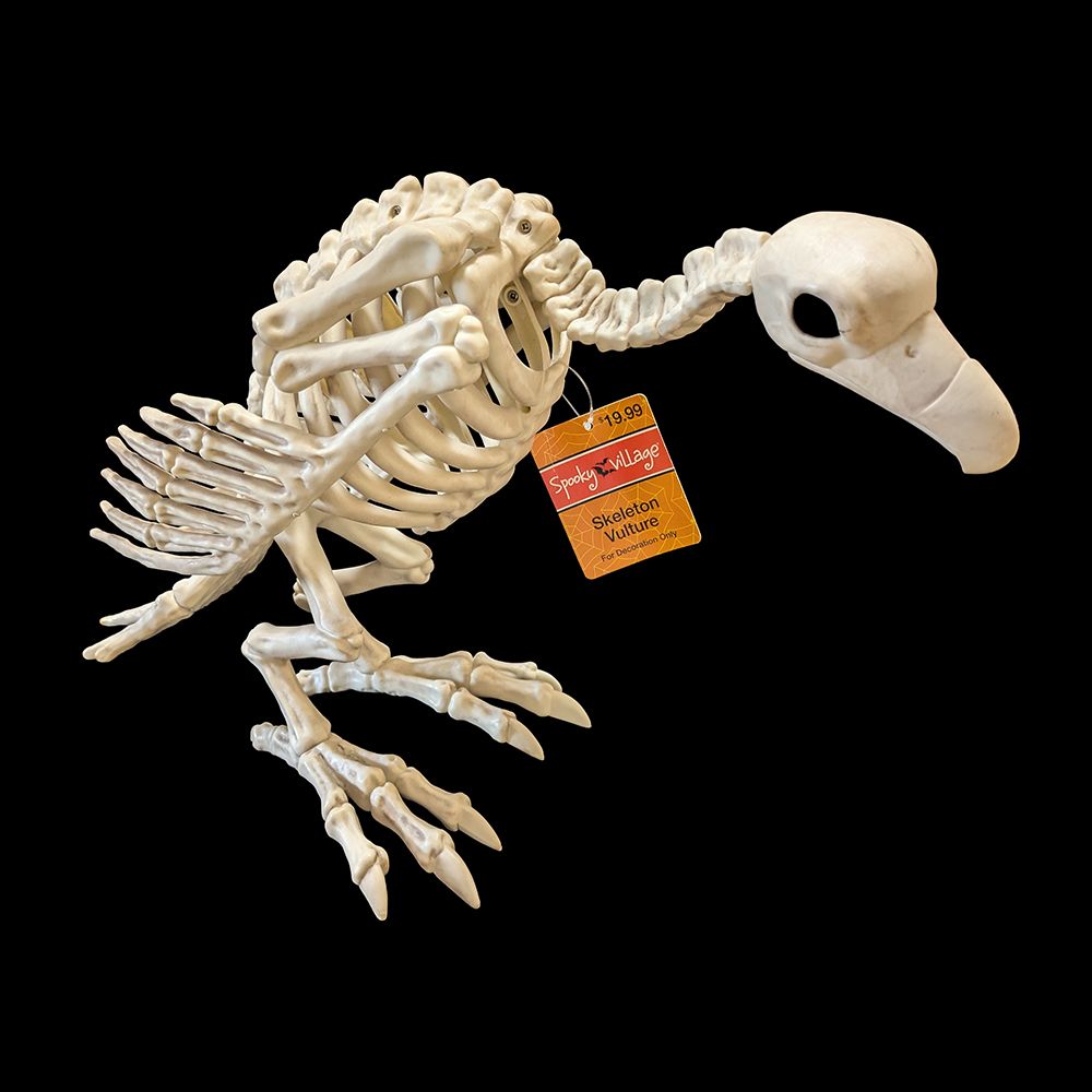 Spooky Village™ Skeleton Vulture