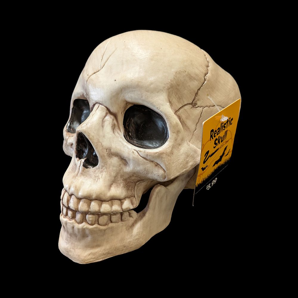 Spooky Village™ Realistic Skull