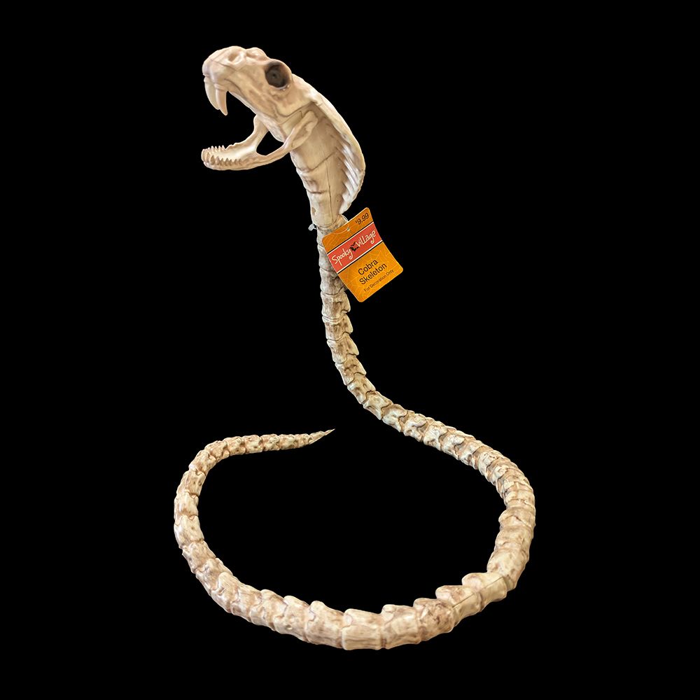 Spooky Village™ Cobra Skeleton