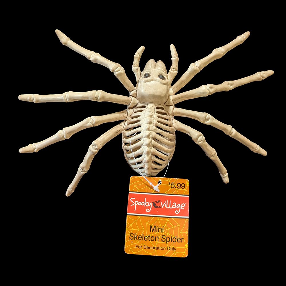 Spooky Village™ Mini Skeleton Spider