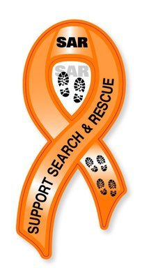 Magnetic Ribbon: SAR