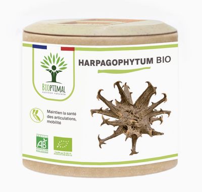 Harpagophytum bio Articulation Anti-inflammatoire 60 gélules