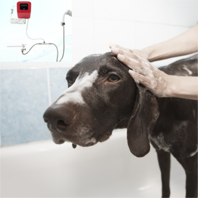 Ozone Dog Shower