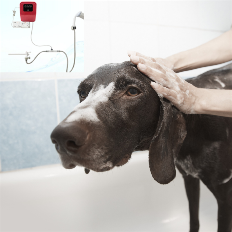Ozone Dog Shower