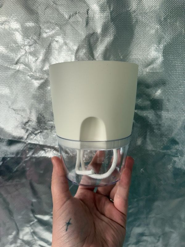 4” White Self Watering Pot