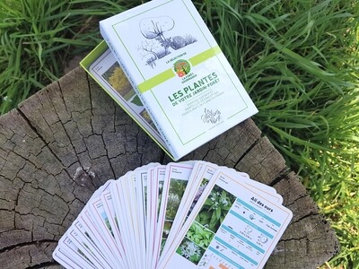 Coffret contenant 50 cartes de plantes stratégiques en jardin-forêt
