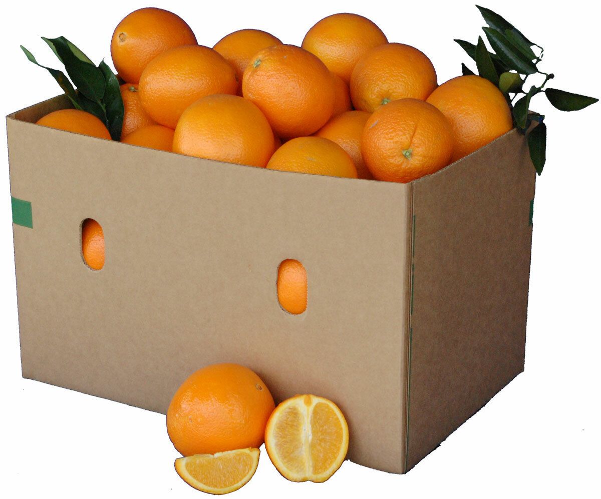 Fresh Navel Oranges - 30 lb. box