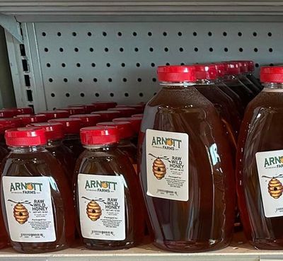 Raw Wild Honey - 48oz (3LBS)