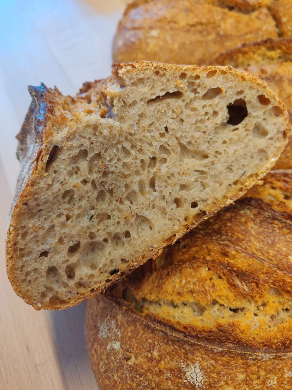 Dinkel-Buchweizenbrot Dinkel-Buchweizenbrot