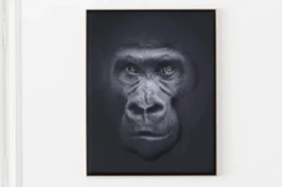 Akustikbild »Quieto«, Motiv "Affe" 2001056