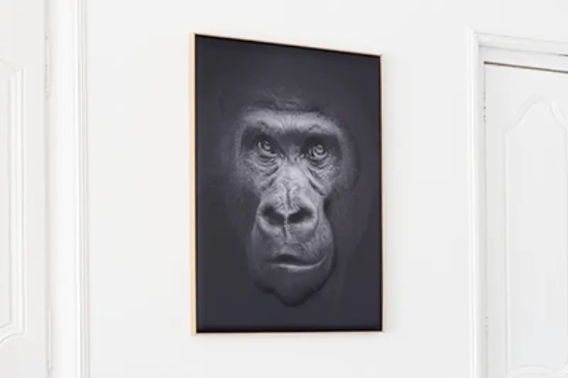 Akustikbild »Quieto«, Motiv "Affe", seitlicher Blick auf das Motiv
Akustikbild »Quieto«, Motiv "Affe", seitlicher Blick auf das Motiv