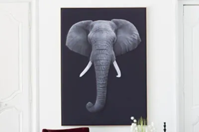 Akustikbild »Quieto«, Motiv "Elefant" 2001055