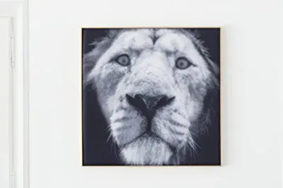 Akustikbild »Quieto«, Motiv "Löwe" 2001057
