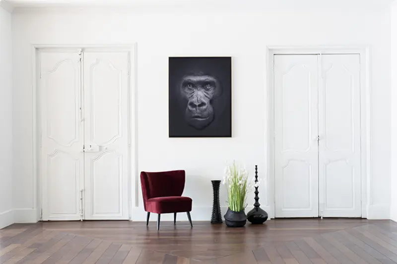 Akustikbild »Quieto«, Motiv "Affe", frontale Ansicht aus der Perspektive im Raum
Akustikbild »Quieto«, Motiv "Affe", frontale Ansicht aus der Perspektive im Raum