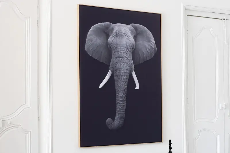 Akustikbild »Quieto«, in einer seitlichen Ansicht mit dem Motiv eines Elefanten Akustikbild »Quieto«, in einer seitlichen Ansicht mit dem Motiv eines Elefanten
