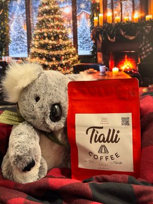 Holiday favorite bundle