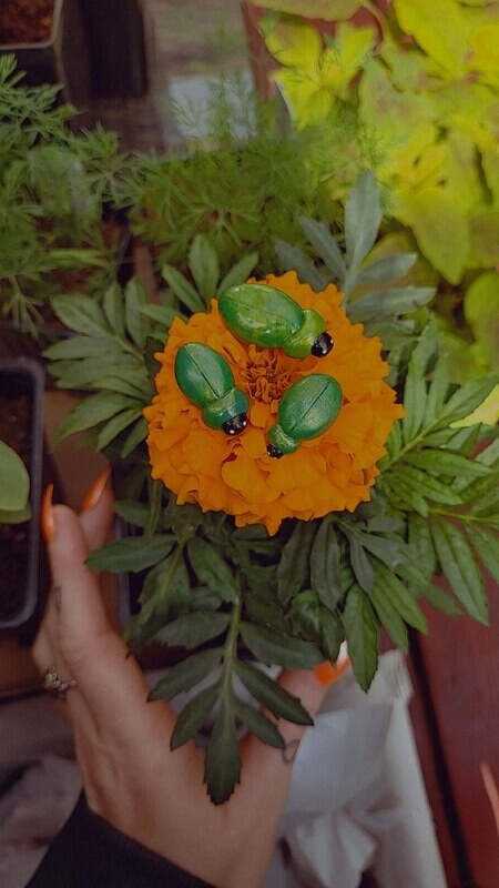 Shiny Green Beetle Pin/Brooch