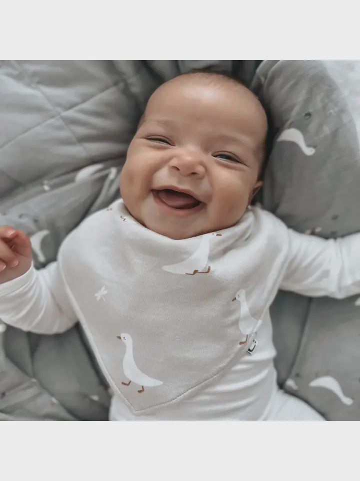 Bandana Bib