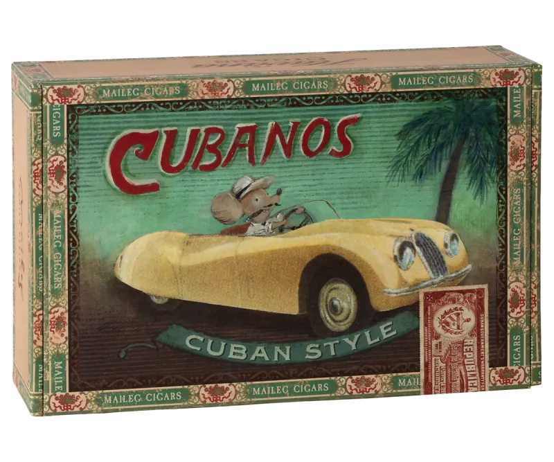 Grandma &amp; Grandpa Mice in Matchbox