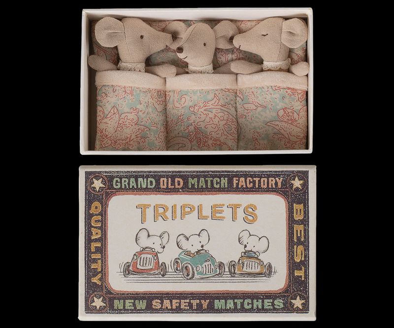 Triplets, Baby Mice in Matchbox
