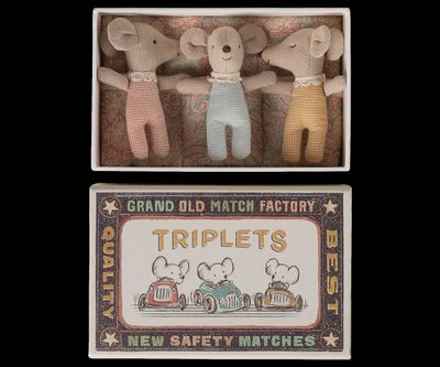 Triplets, Baby Mice in Matchbox
