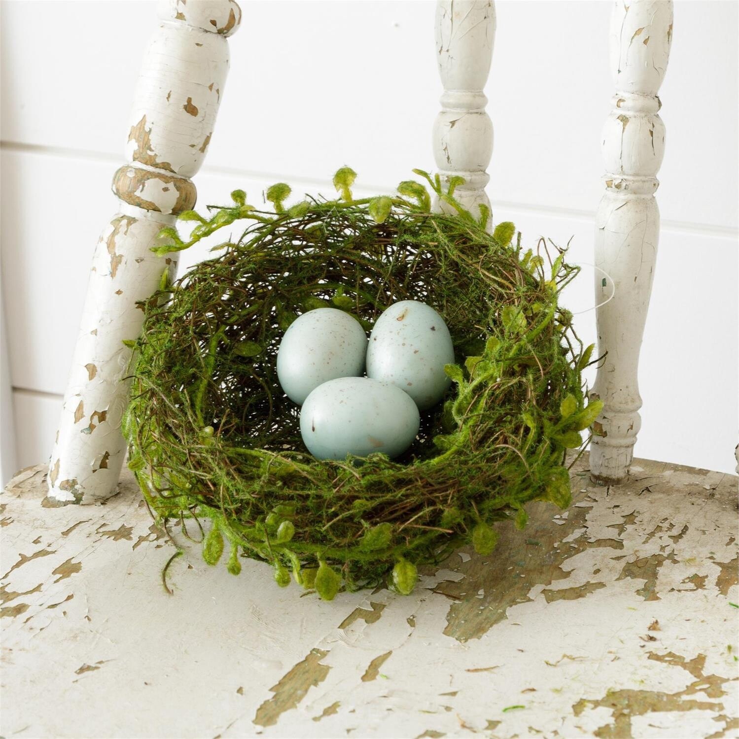 Robin&#39;s Egg Nest