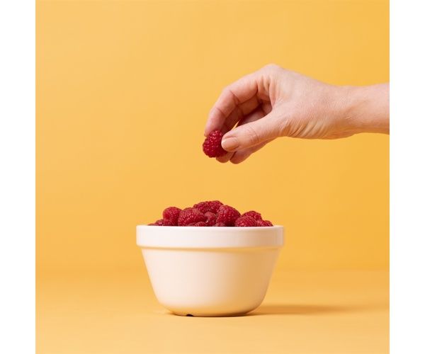 White All-purpose bowl 5.5&quot;