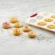 Cupcake &amp; Muffin Pans
