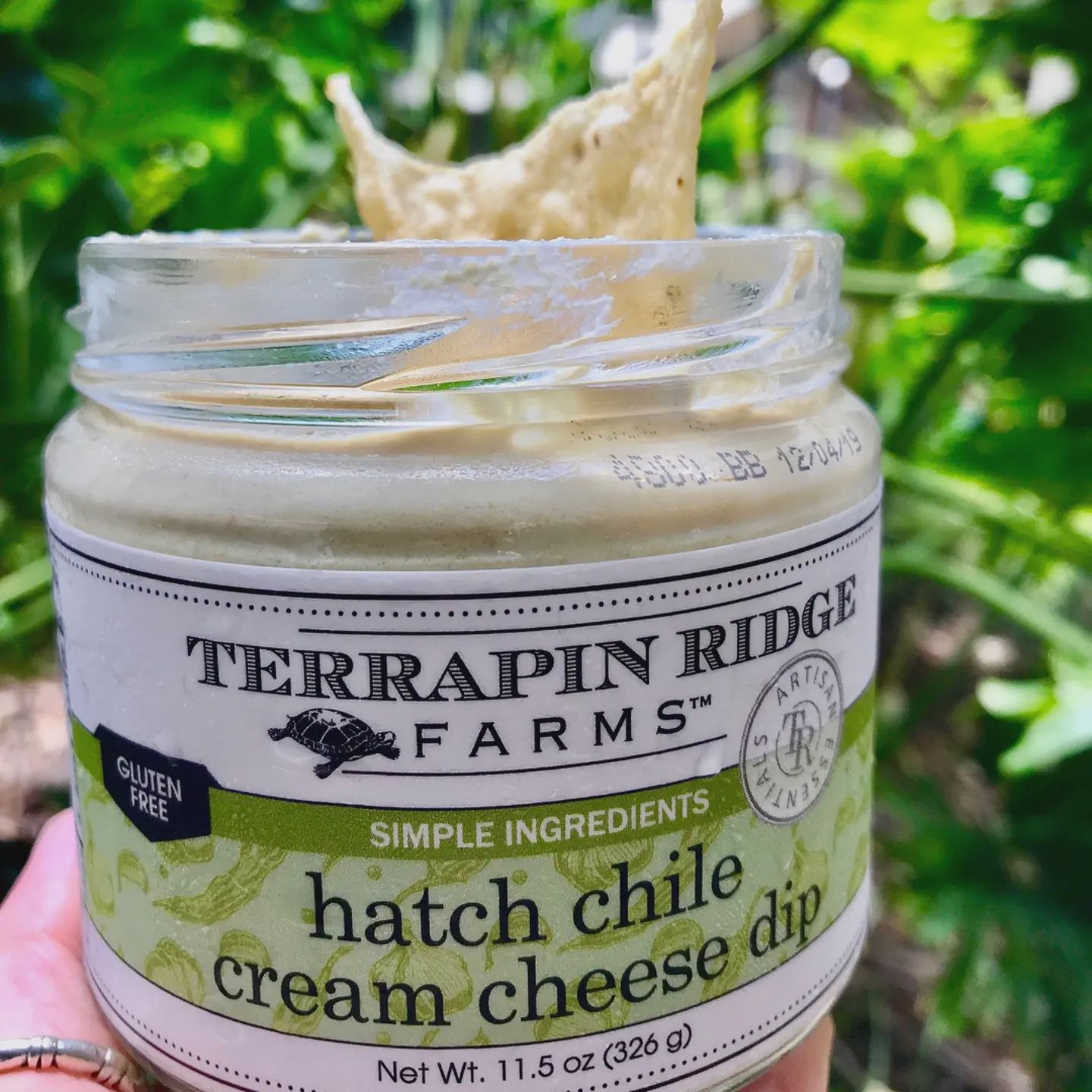 Hatch Chile Cream Cheese Dip
