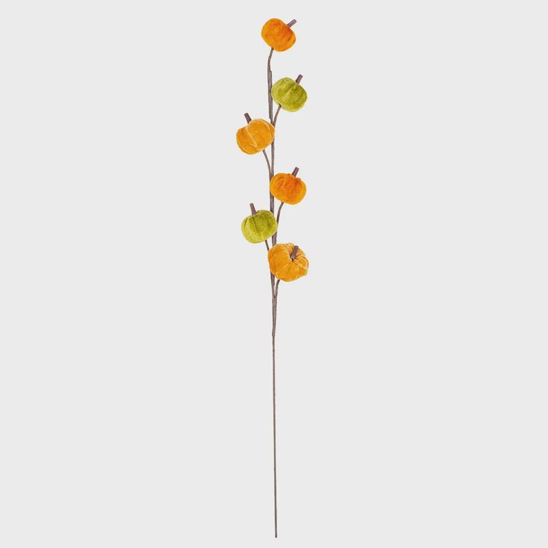 Pumpkin Stems