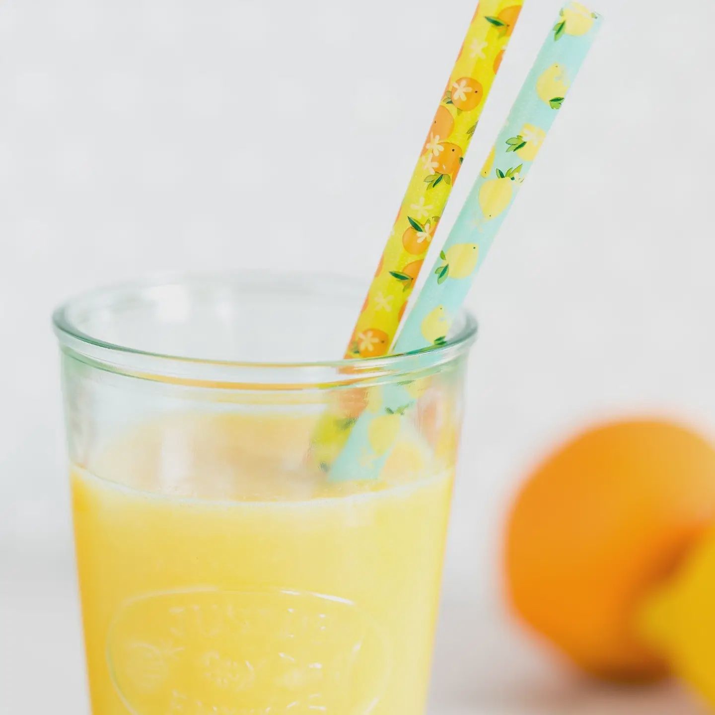 Fruit Basket Resusable Straws