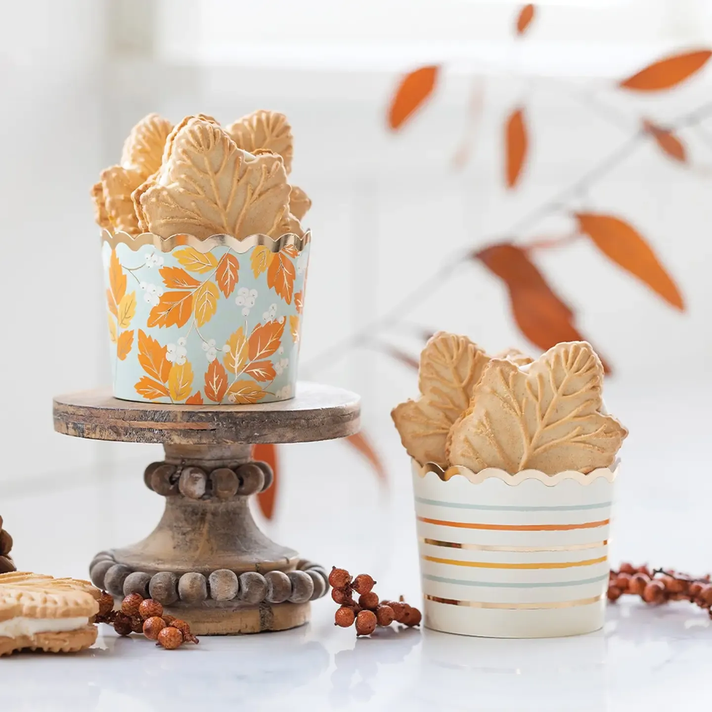 Harvest White Berries 5oz  Baking Cups (50ct)
