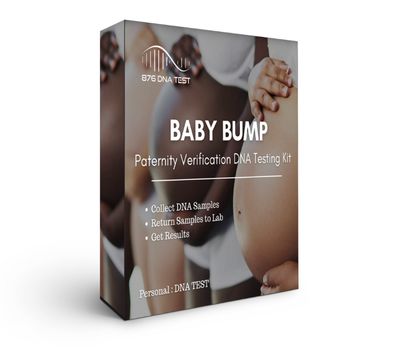 Baby Bump: Non-Invasive Prenatal Paternity  (NIPP) Test