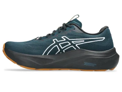 GT 2000 14 TR ASICS
