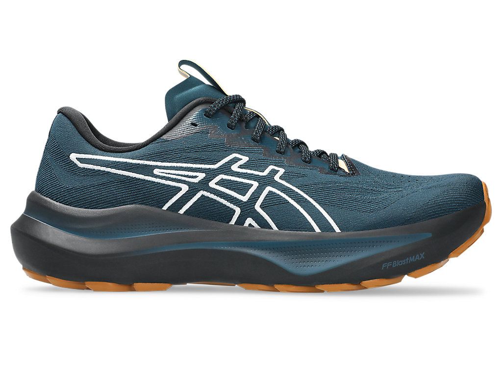 GT 2000 14 TR ASICS